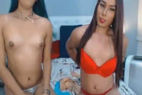 Two amazing shelady Having A delicious Show