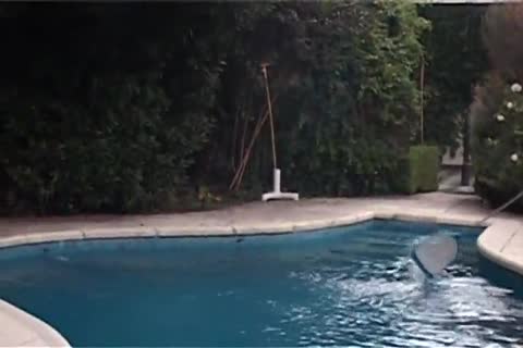 painfully blonde And Redhead doxies hammering whilst man Is Watching them