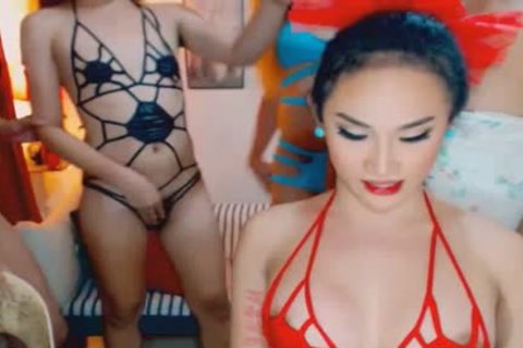 wicked kinky sheboys receives sleazy On web camera