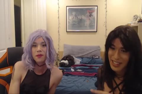 CD bangs CD web camera