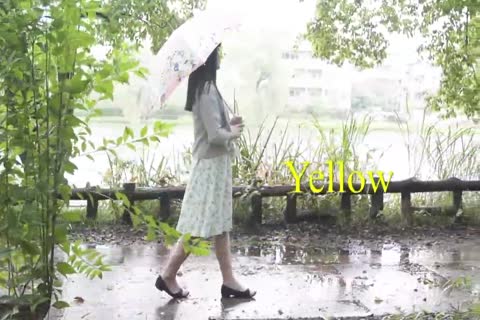 Completely Female Collection 6