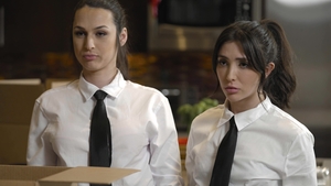 Transfixed: Beneath Bickering, Blooming Love Blossoms Boldly